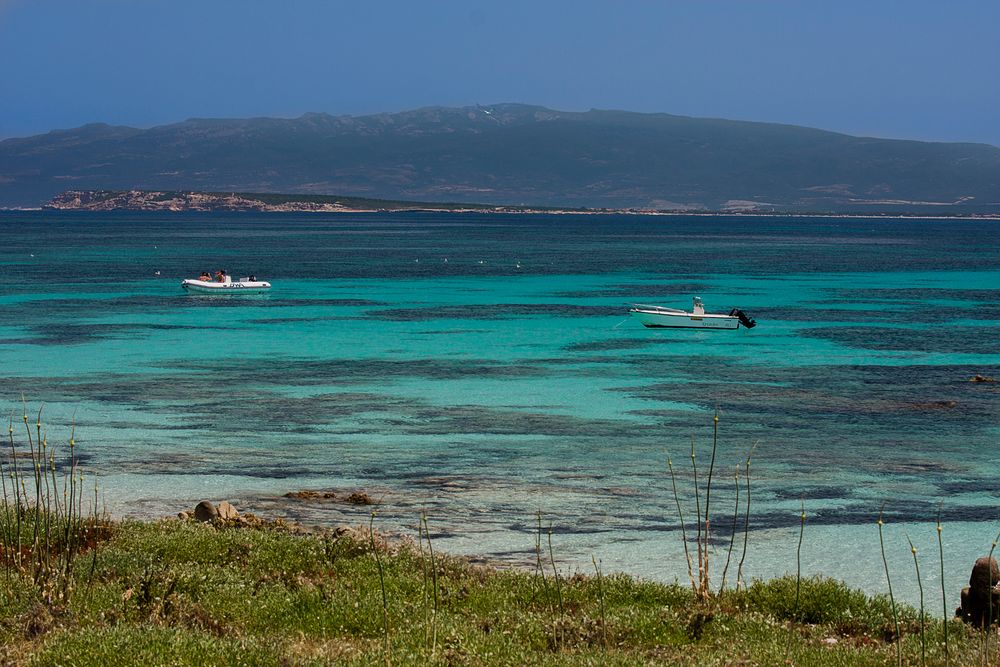 Isola Mal di Ventre...mit Blick auf Sardinien