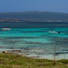 Isola Mal di Ventre...mit Blick auf Sardinien