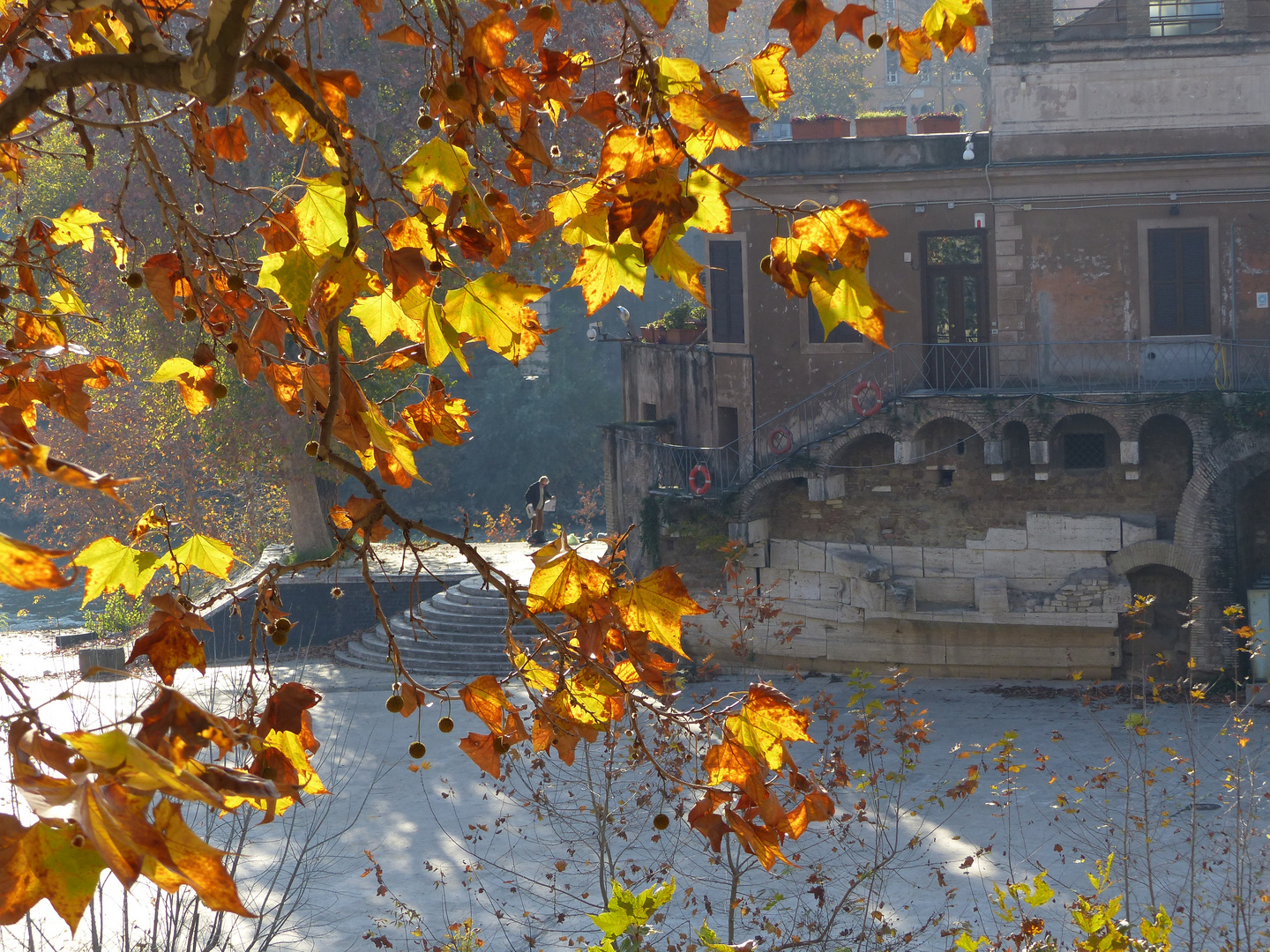 Isola Tiberina - Roma