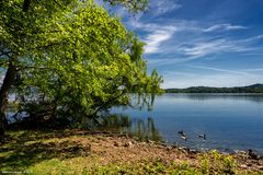 Isola Virginia, lago di Varese