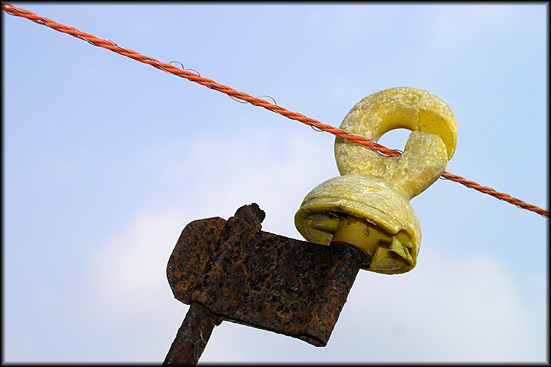 Isolator auf Rost