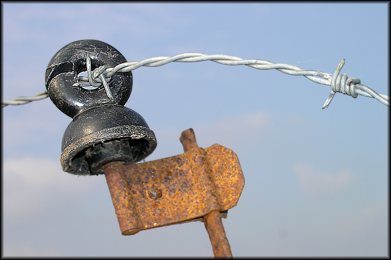 Isolator mit Stacheln