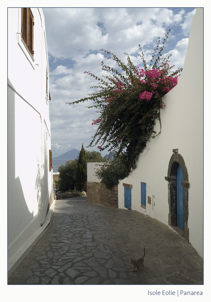 Isole Eolie | Panarea /2