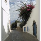 Isole Eolie | Panarea /2