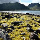 Isole Lofoten (Norway)