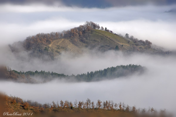 Isole nella Nebbia ...