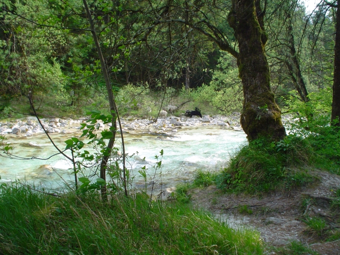 Isonzo -SLO-