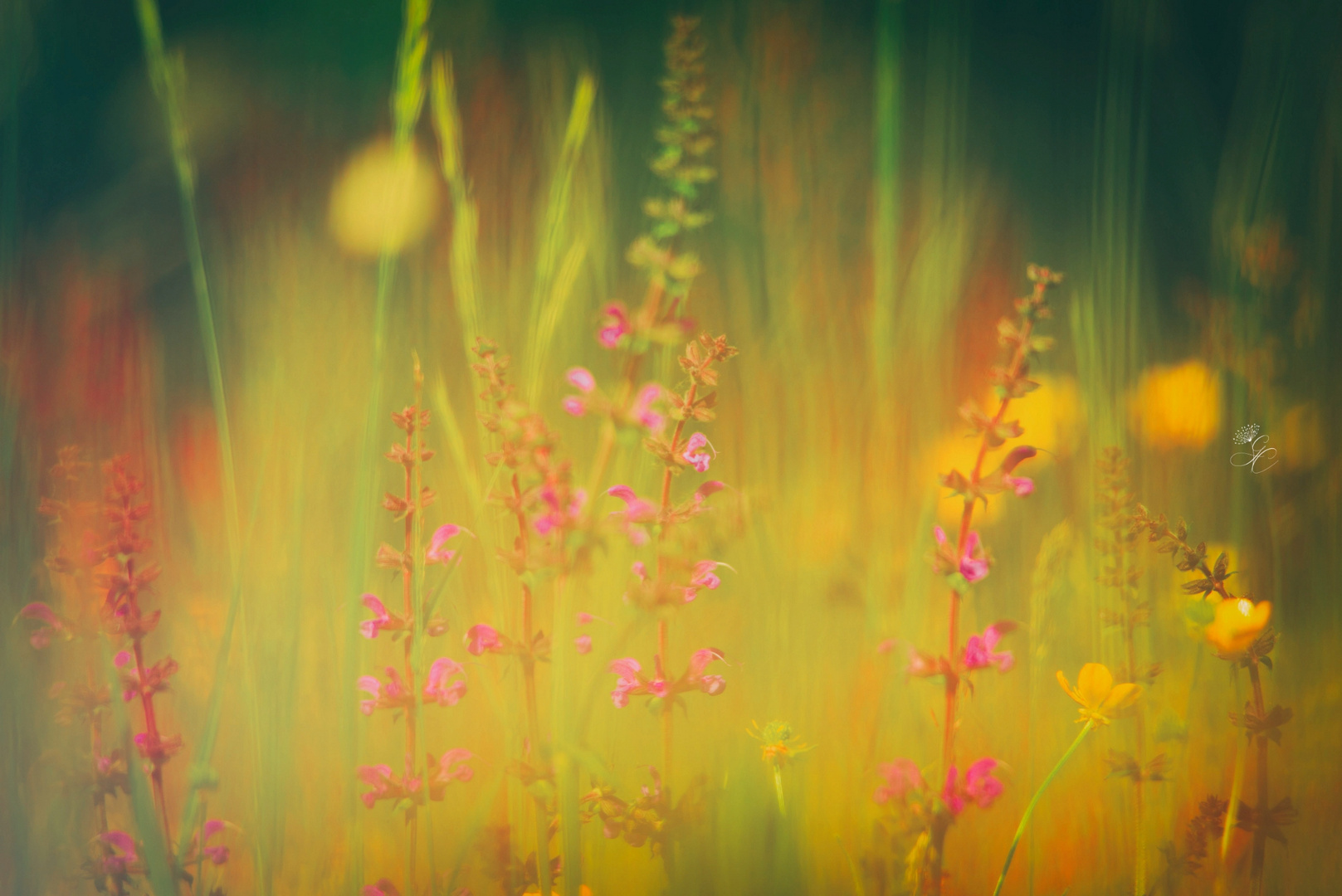 Ispirazione Monet 