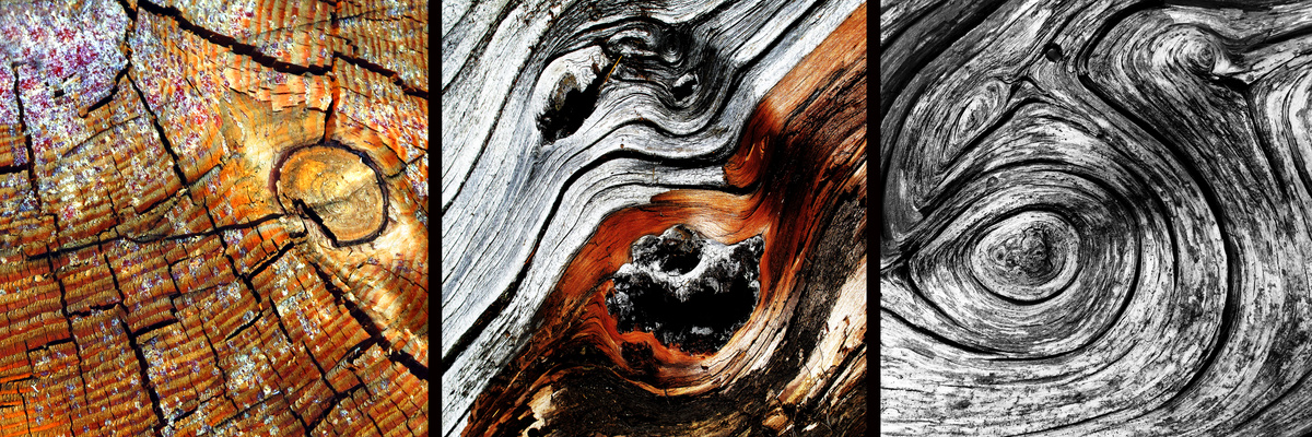 IspirAzione Poetica, atto settimo