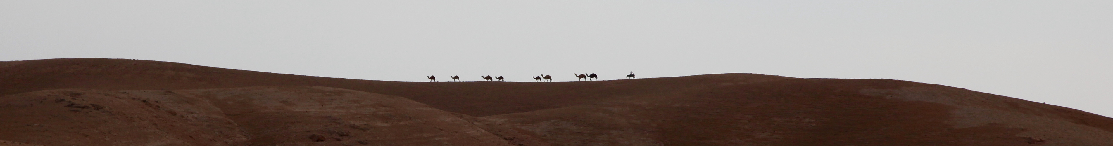 Israel 2010 - 02