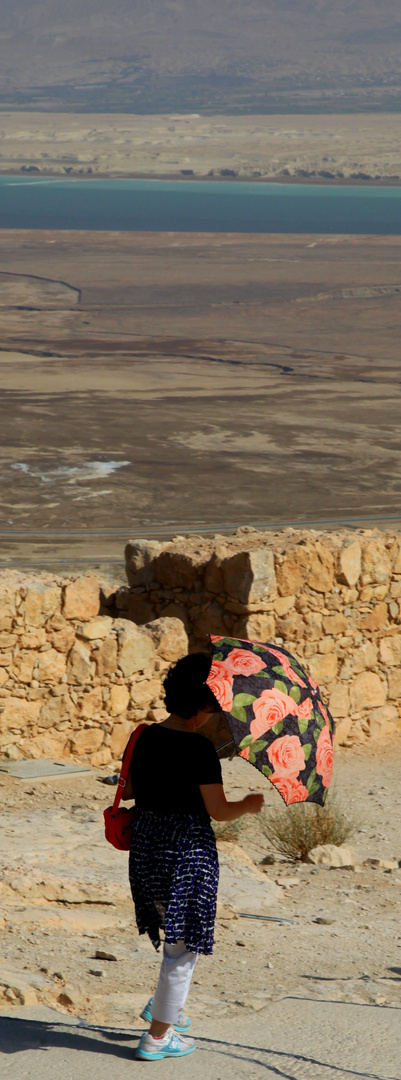 Israel 2010 - 06