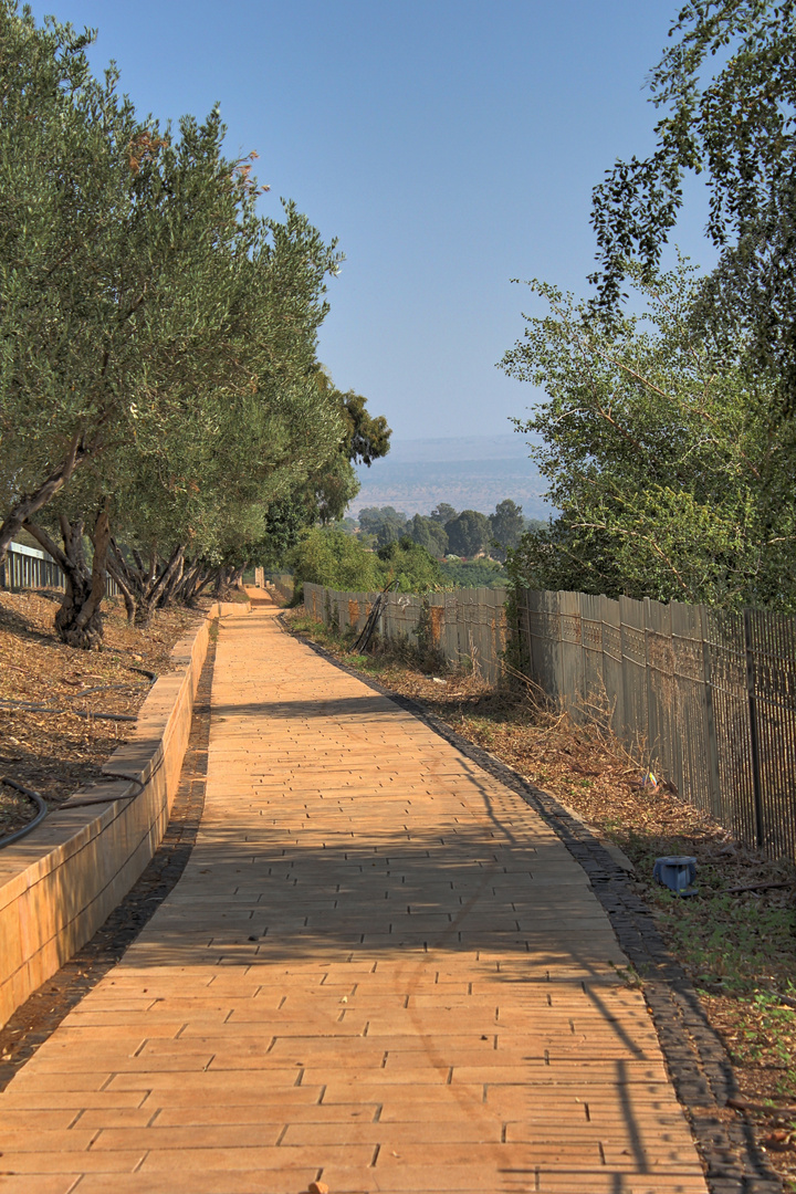 Israel, Der Weg nach Kafarnaum