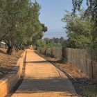 Israel, Der Weg nach Kafarnaum