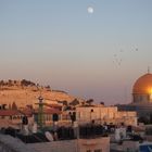 Israel Jerusalem Felsendom Vollmond Vogelschwarm