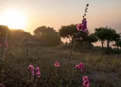 Israel2015_061