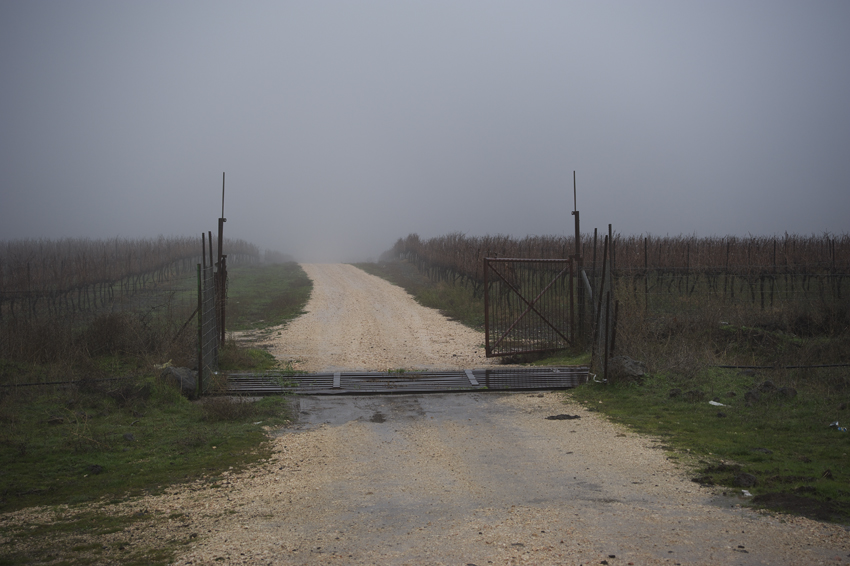 Israel/Golan im Januar 2012 - der Weg ins Nichts..........