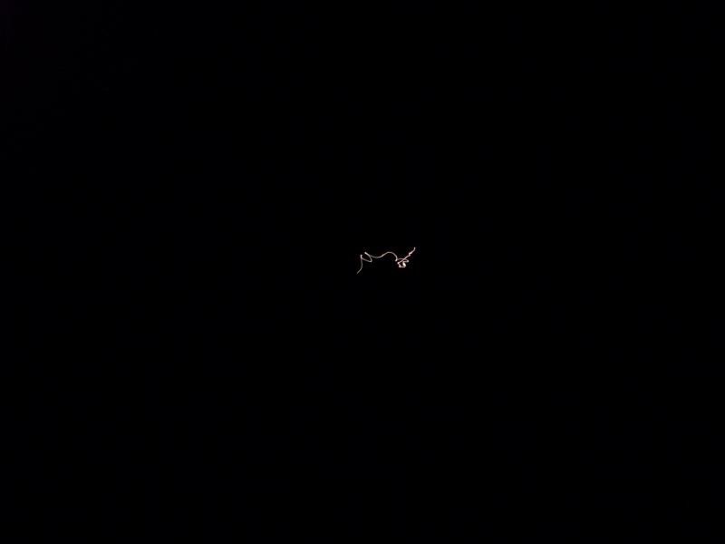 ISS am 11.02.08 über Deutschland (1)
