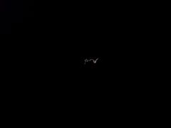 ISS am 11.02.08 über Deutschland (1)