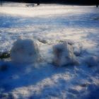 Iß niemals gelben Schnee nicht!