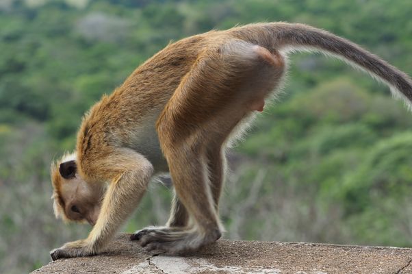 Ist da schon der Montag zu sehen
