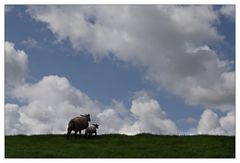 Ist das das Ende der Welt, Mutti?