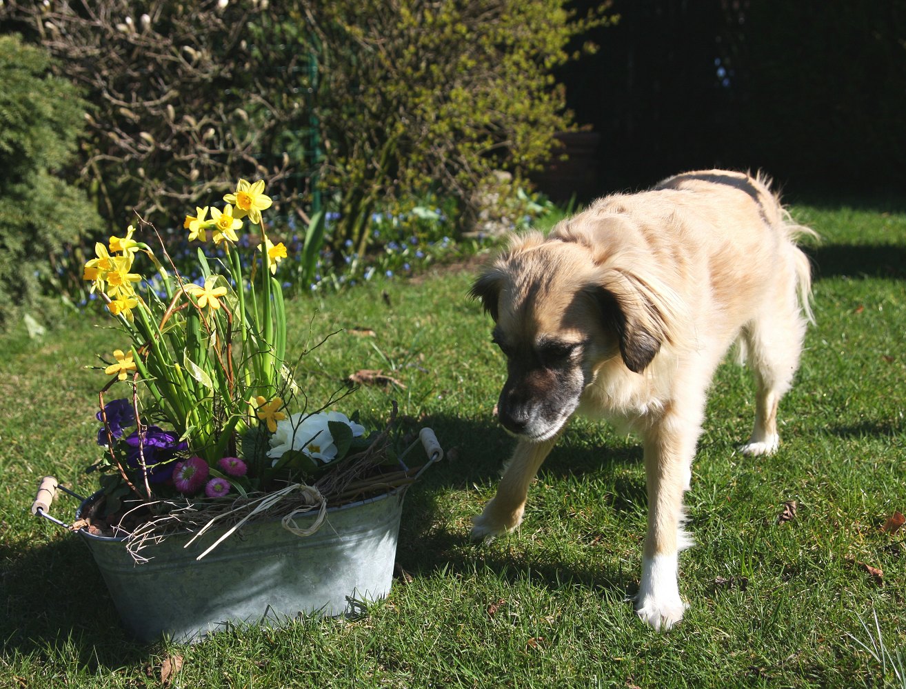 Ist das der Frühling?????