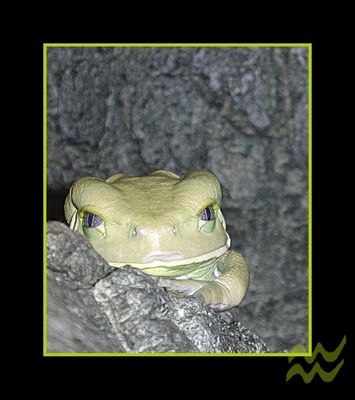 Ist das der Märchenprinz ??????