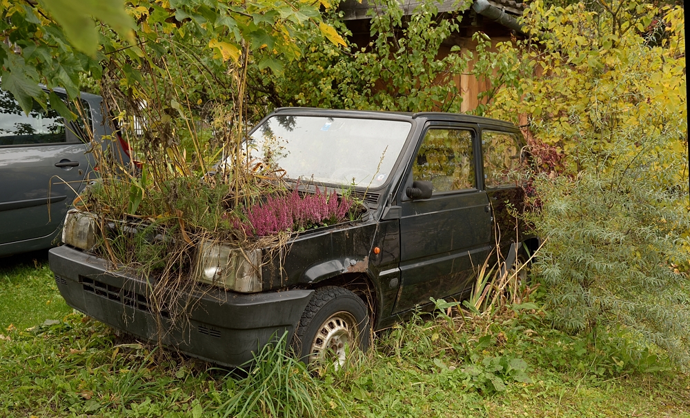 Ist das der neue Prototyp von VW?, hier stimmen die Abgaswerte.