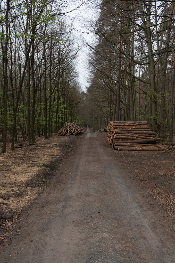 Ist das der Weg ins Nirgendwo.