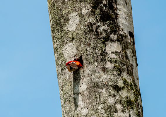 Ist das gut so ?                                       DSC_0356-