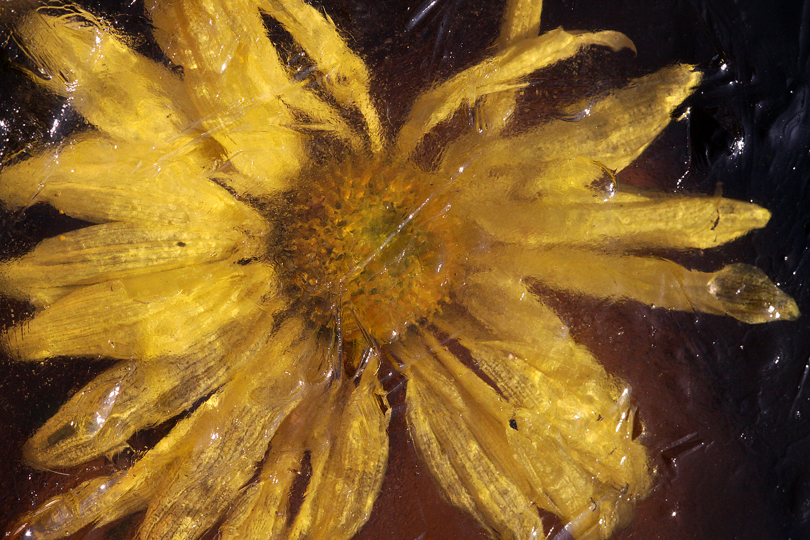 ist das jetzt ne eisblume?