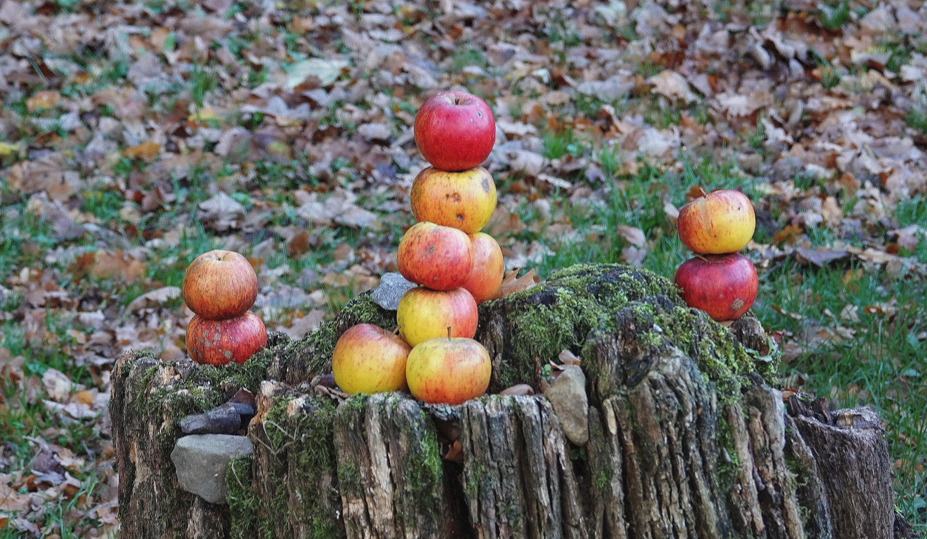 Ist das Kunst, oder kann das gegessen werden?