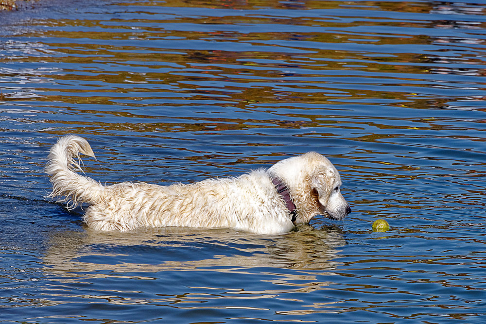 ist das mein Ball