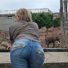 Ist das nicht ein süsser Elefant?