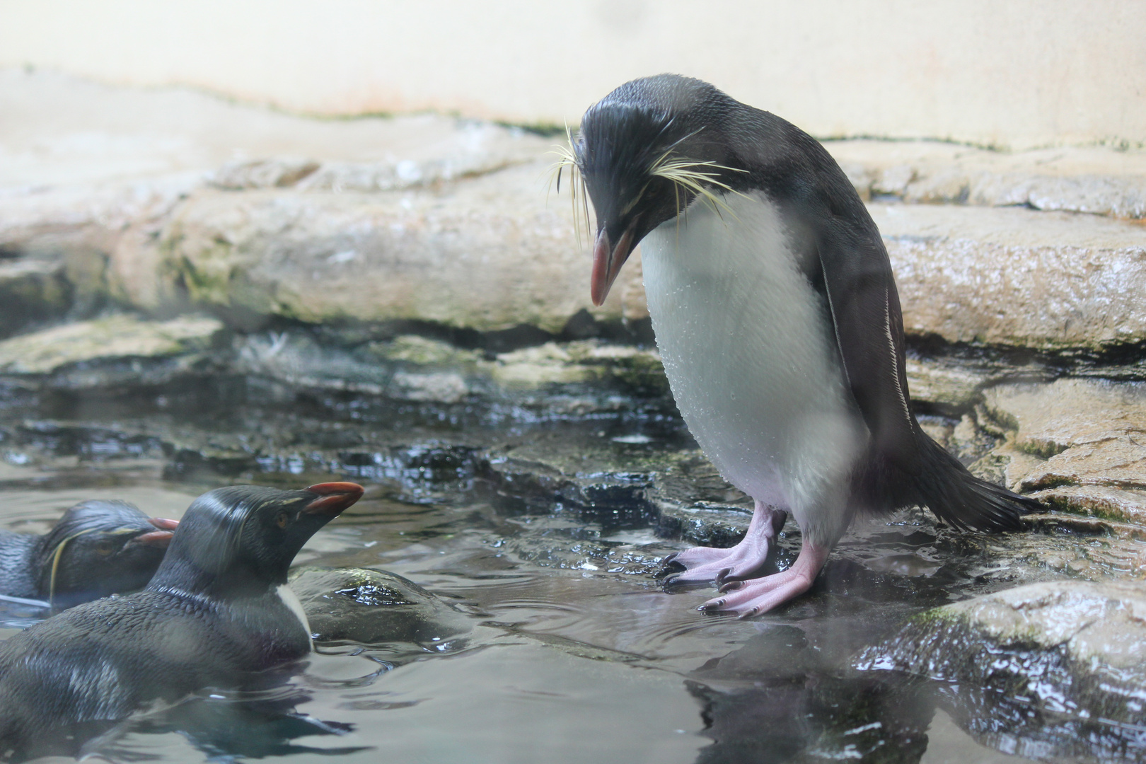 Ist das Wasser auch Keimfrei?!?