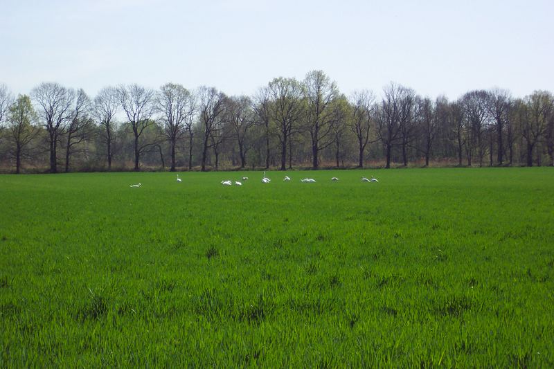 ist das Wasser grün oder blau ?