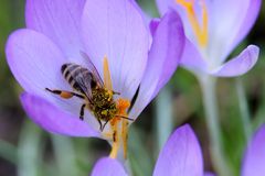 Ist den schon Frühling?