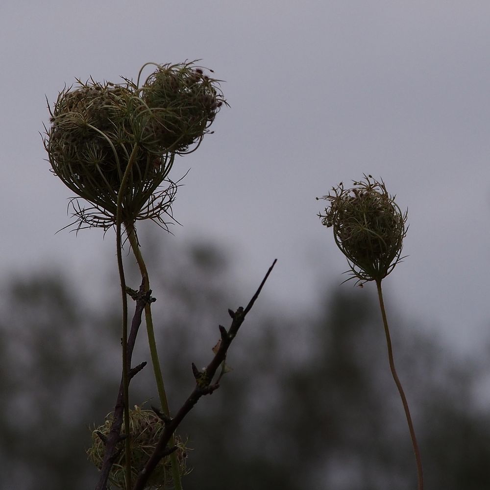 Ist denn schon Herbst?