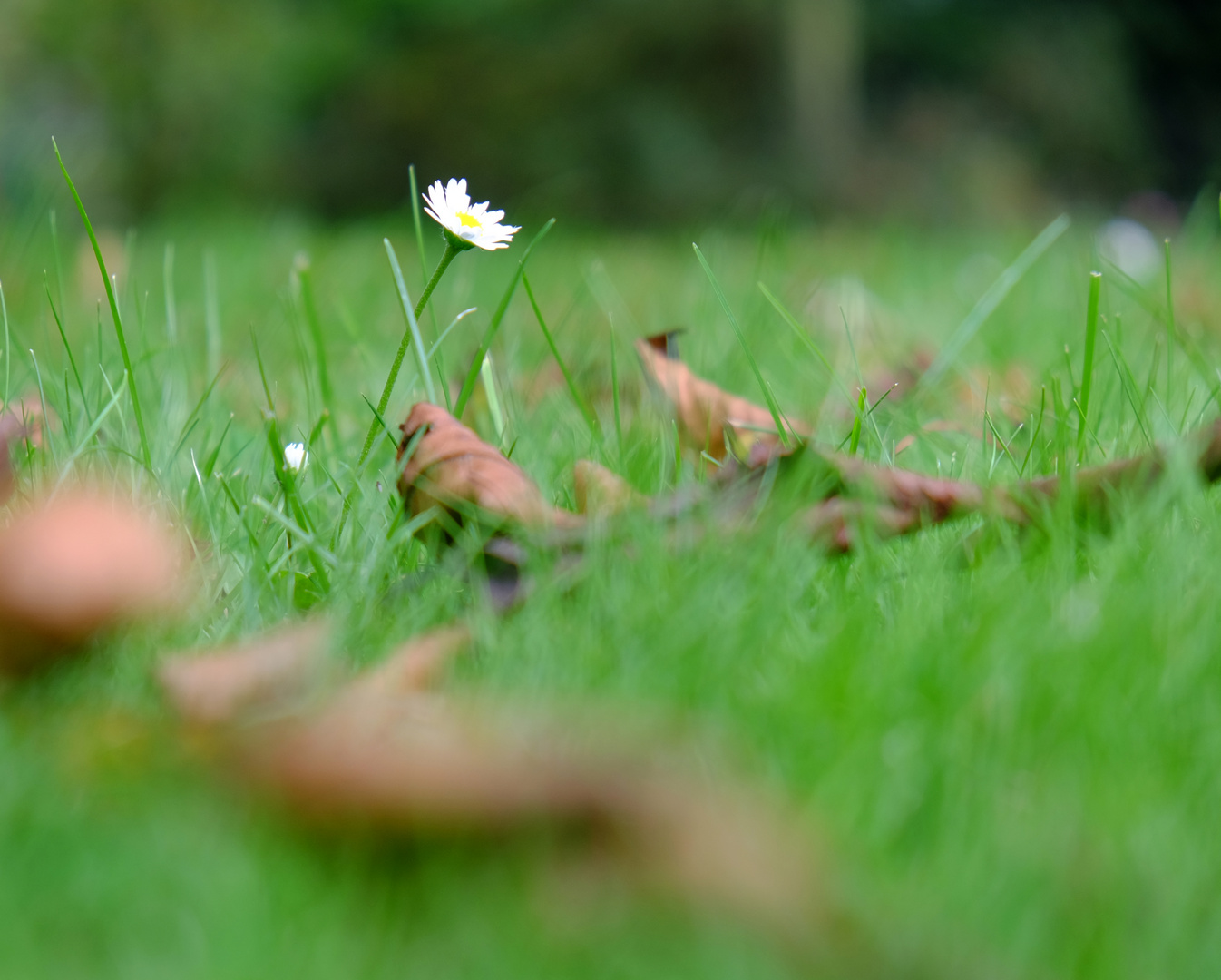 Ist denn schon Herbst?