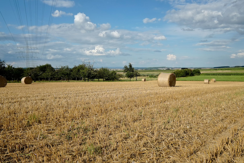 ... ist denn schon wieder Herbst? ...