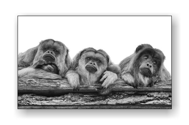 Ist denn schon wieder Montag?