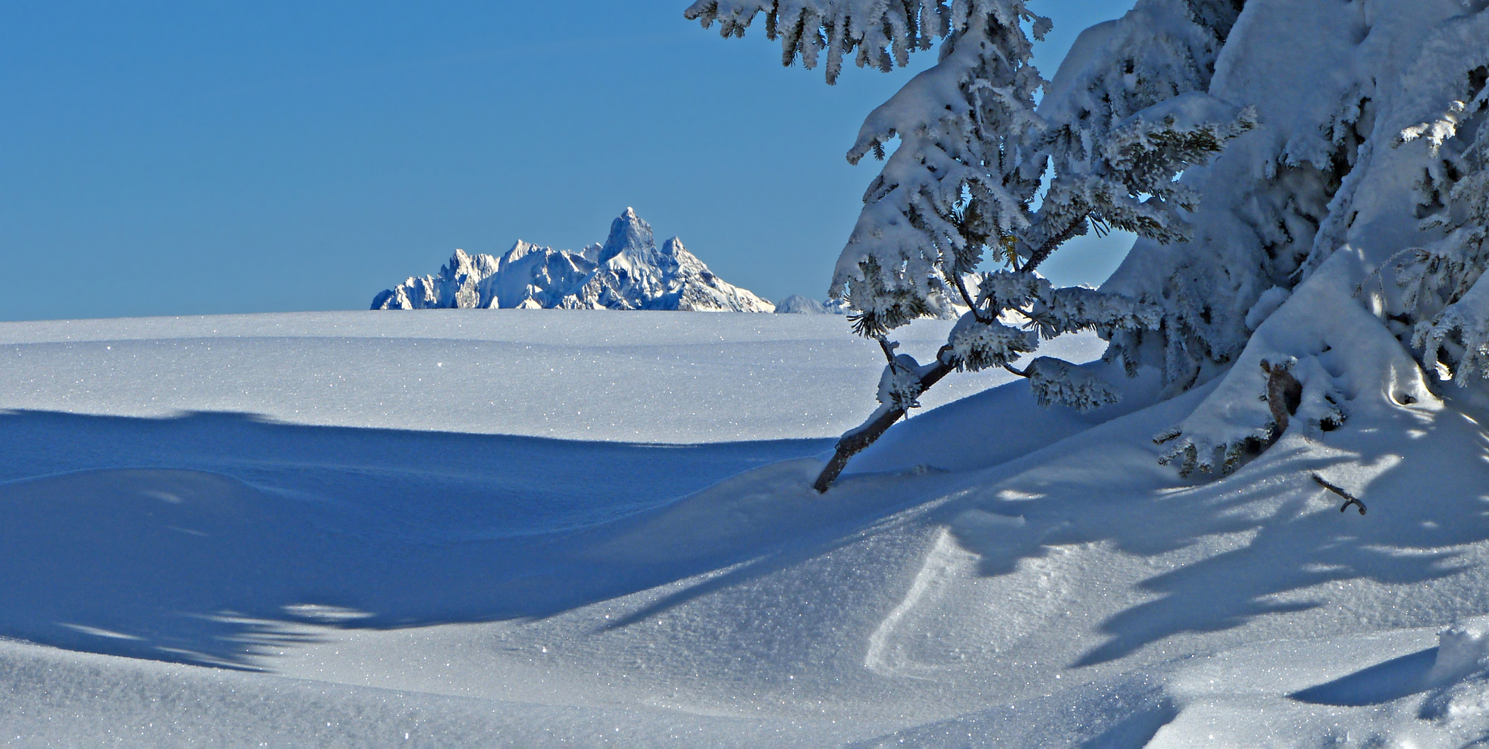 Ist denn schon Winter