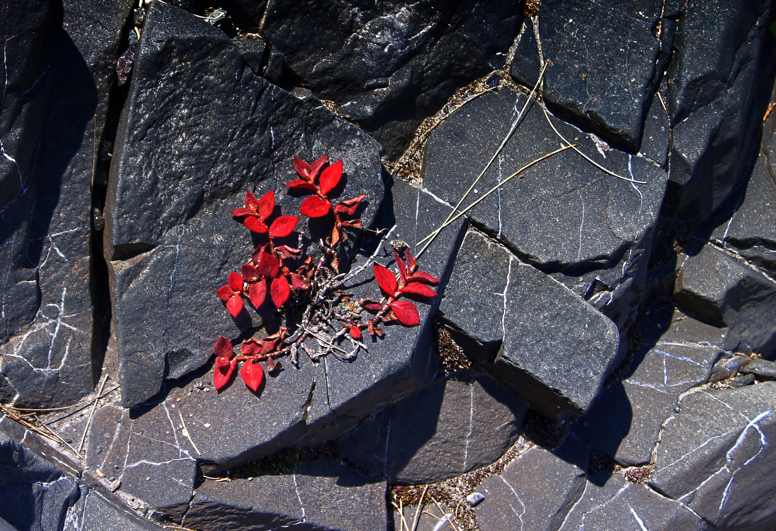 Ist der Basalt auch noch so fest....