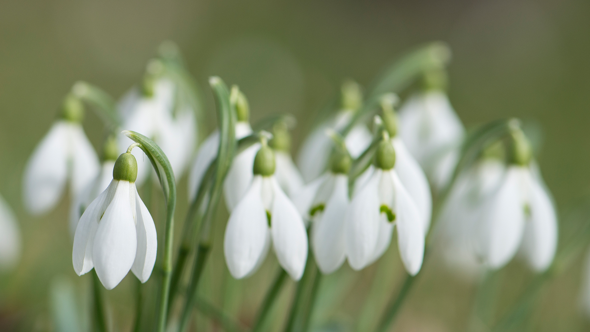 ist der frühling endlich da