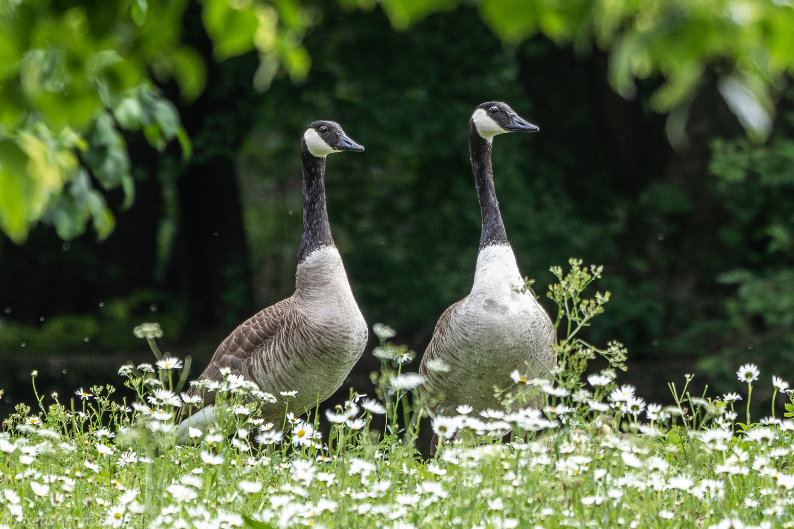 Ist der Frühling schon da?