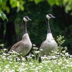 Ist der Frühling schon da?