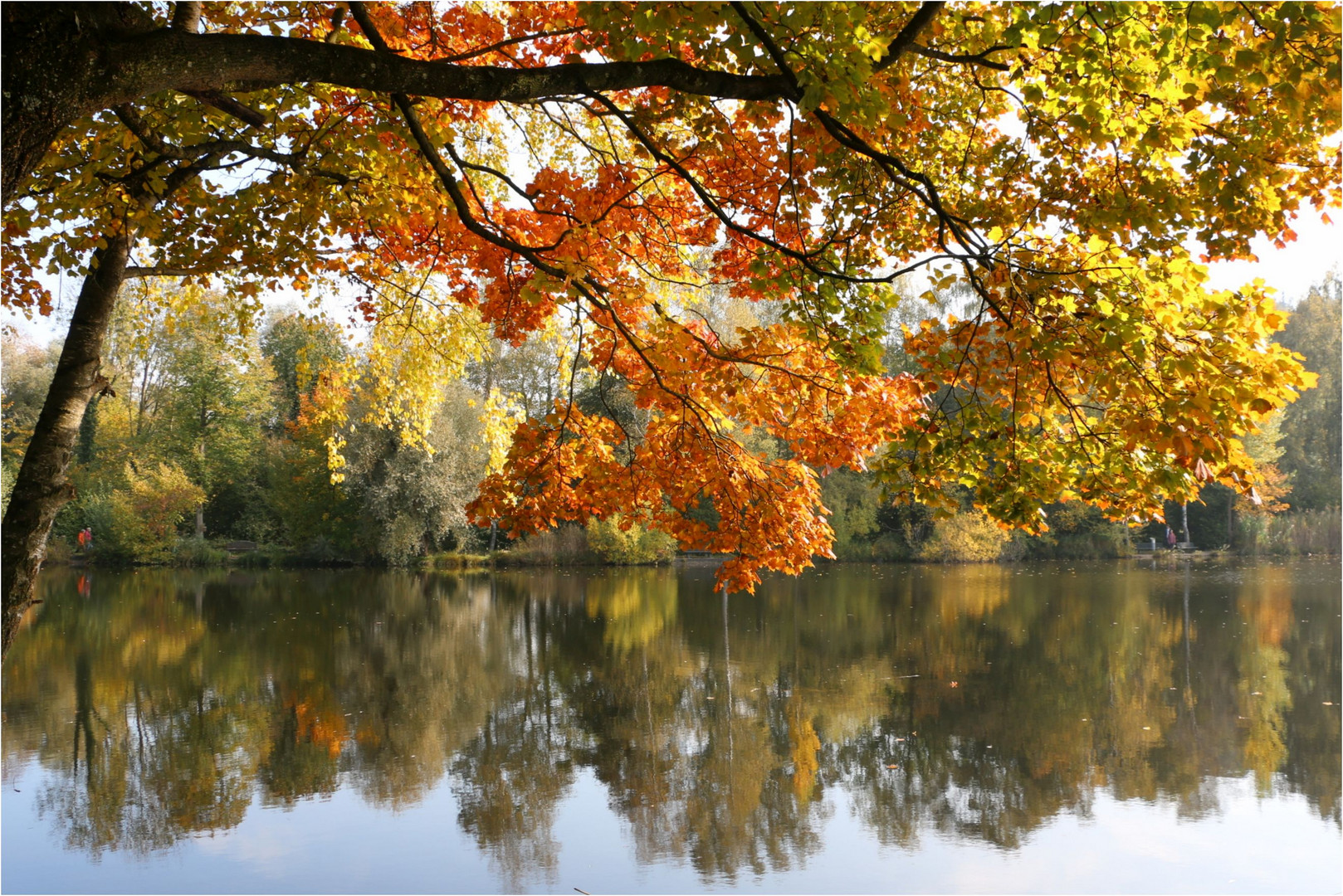 Ist der Herbst nicht wunderschön...