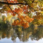 Ist der Herbst nicht wunderschön...