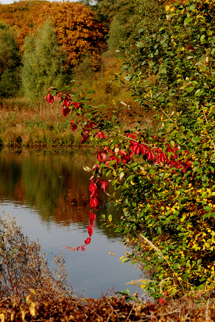 Ist der Herbst schön!