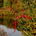 Ist der Herbst schön!